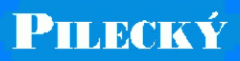 logo firmy